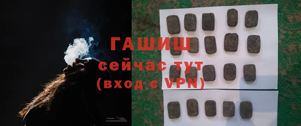 гашик Гусев