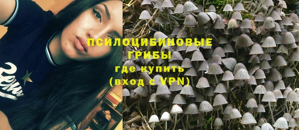 мескалин Гусиноозёрск