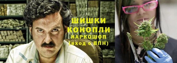 гашик Гусев