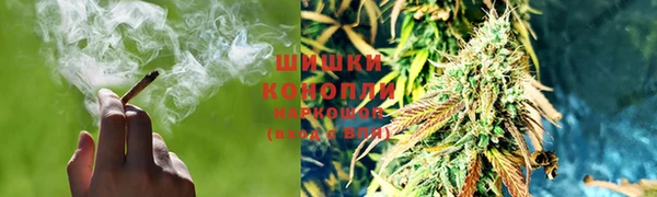 молекула духа Дмитров